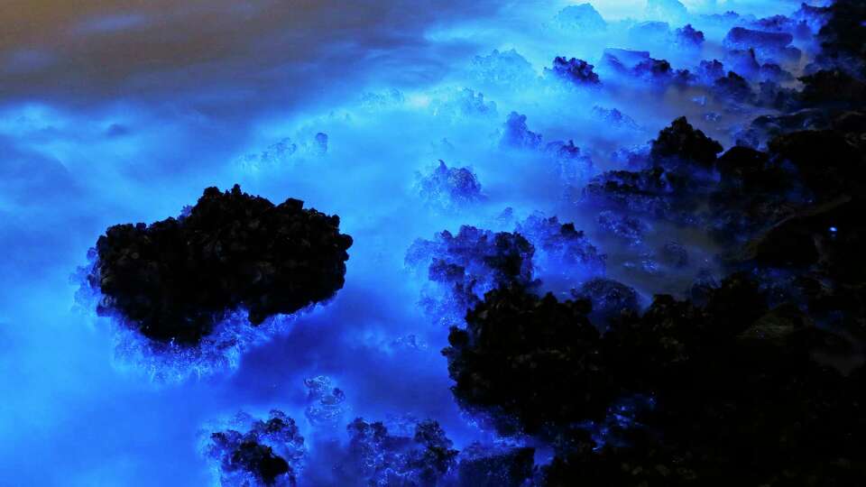 This Thursday, Jan. 22, 2015 photo made with a long exposure shows the glow from a Noctiluca scintillans algal bloom along the seashore in Hong Kong. The luminescence, also called Sea Sparkle, is triggered by farm pollution that can be devastating to marine life and local fisheries, according to University of Georgia oceanographer Samantha Joye. Noctiluca itself does not produce neurotoxins like other similar organisms do. But its role as both prey and predator tends can eventually magnify the accumulation of toxins in the food chain, according to R. Eugene Turner at Louisiana State University. (AP Photo/Kin Cheung)