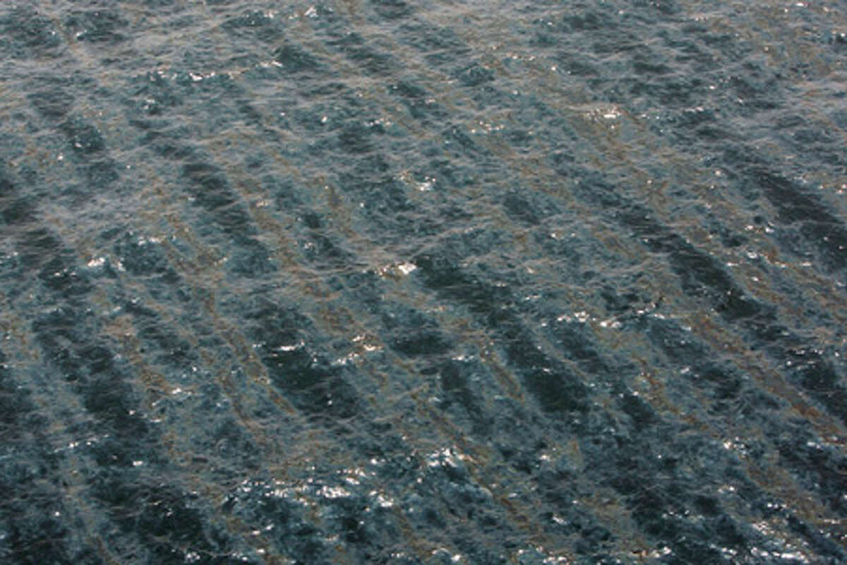 Deepwater Horizon oil spill and cleanup