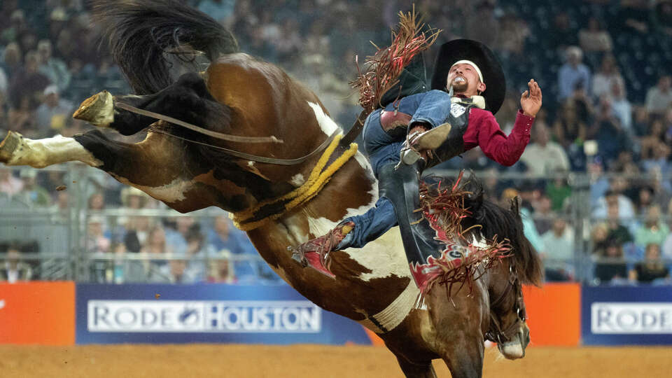 Garrett Shadbolt falls off Night Faded while competing in bareback riding during the wildcard round of the Rodeo Houston at the Houston Livestock Show and Rodeo at NRG Park, Saturday, March 16, 2024, in Houston. Shadbolt was awarded 87 points and finished first in the event.