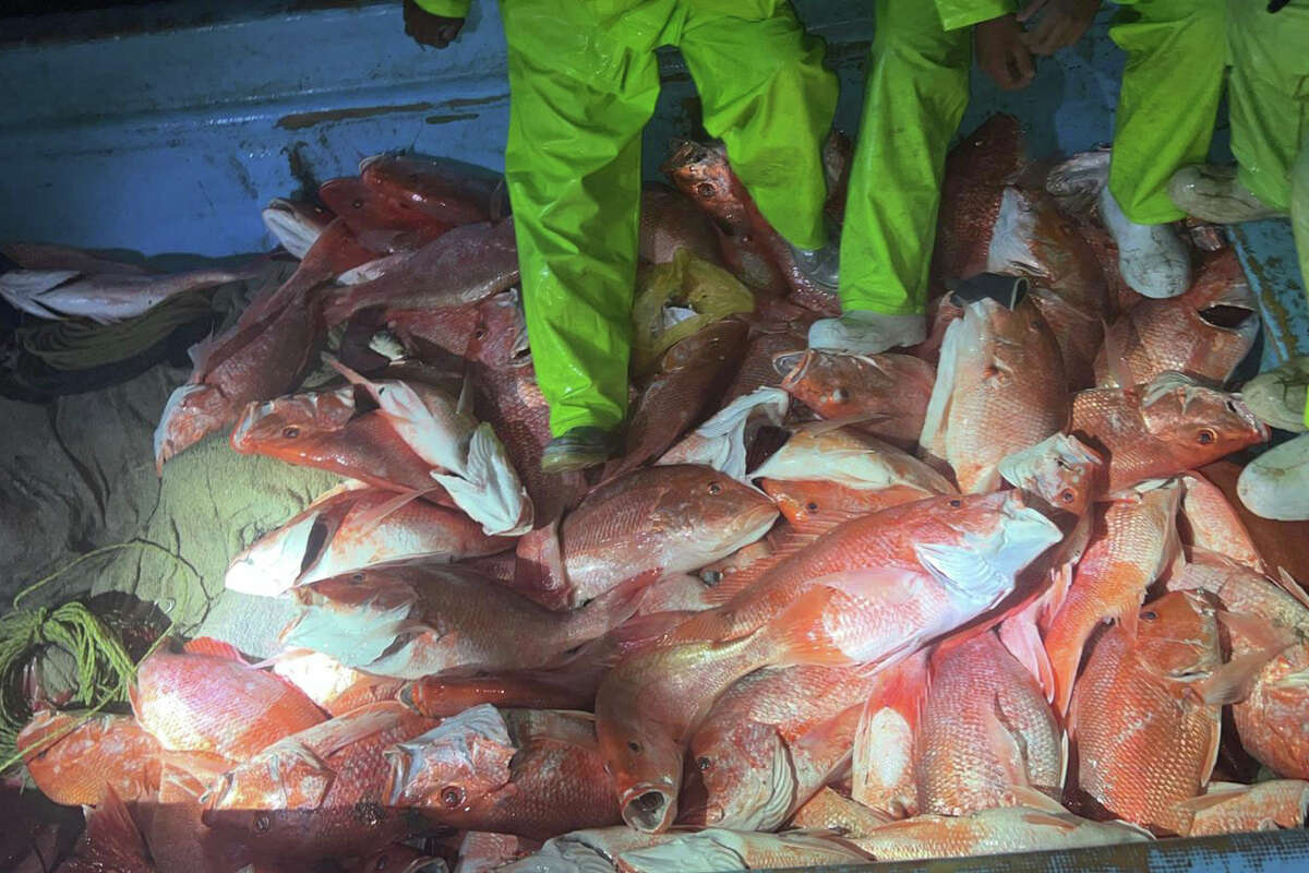 A 33-foot Special Purpose Craft Law Enforcement boat crew from Coast Guard Station South Padre Island surveys a Mexican lancha offshore the southern Texas coast, March 7, 2024. Coast Guard Station South Padre Island crews interdicted a lancha and seized 220 pounds of red snapper. (U.S. Coast Guard photo, courtesy Station South Padre Island)