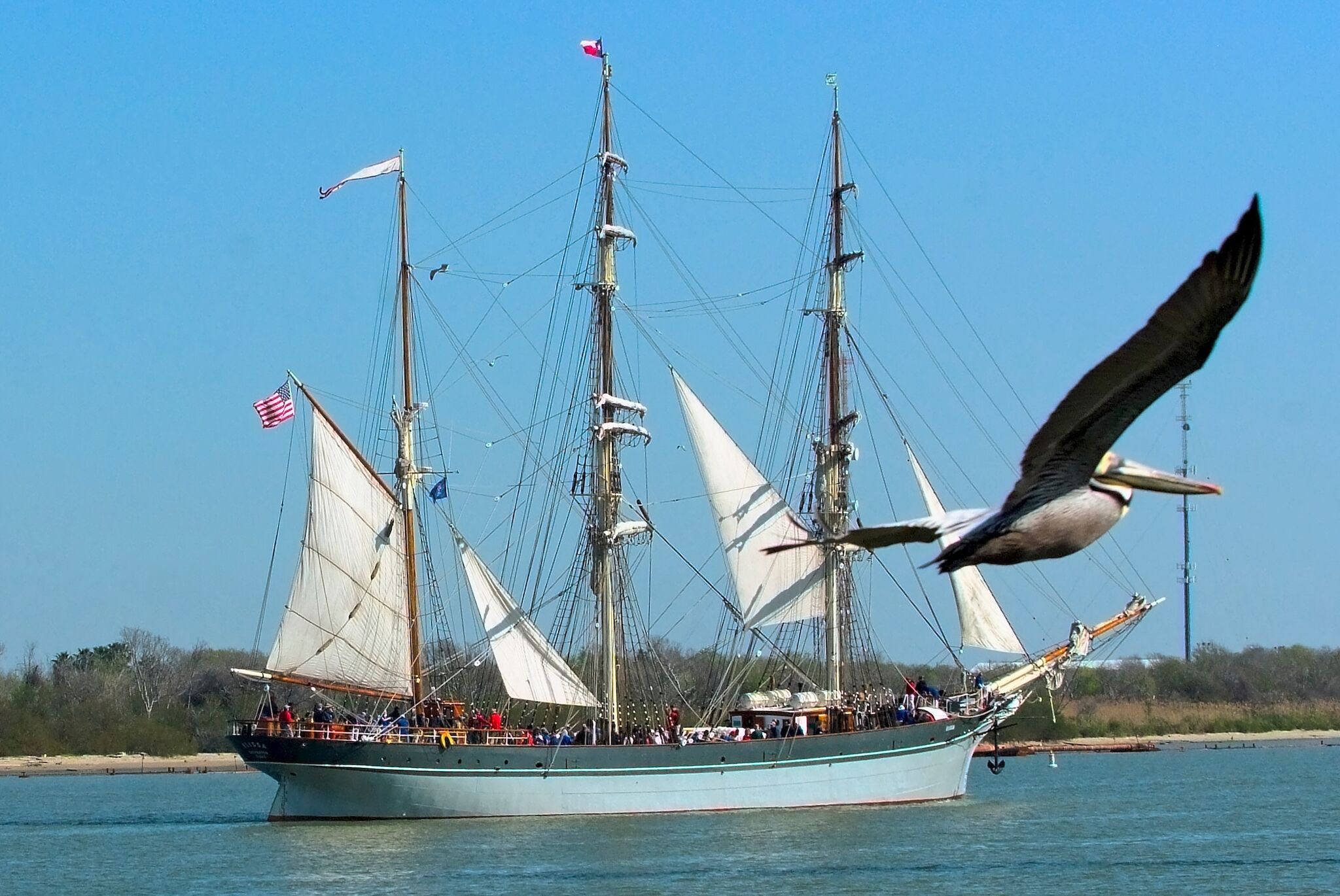 Rides now offered on Texas historic 1877 tall ship Elissa