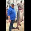 BIG FISH: This massive catch at the Lake of the Ozarks just 'snagged' a man  a world record