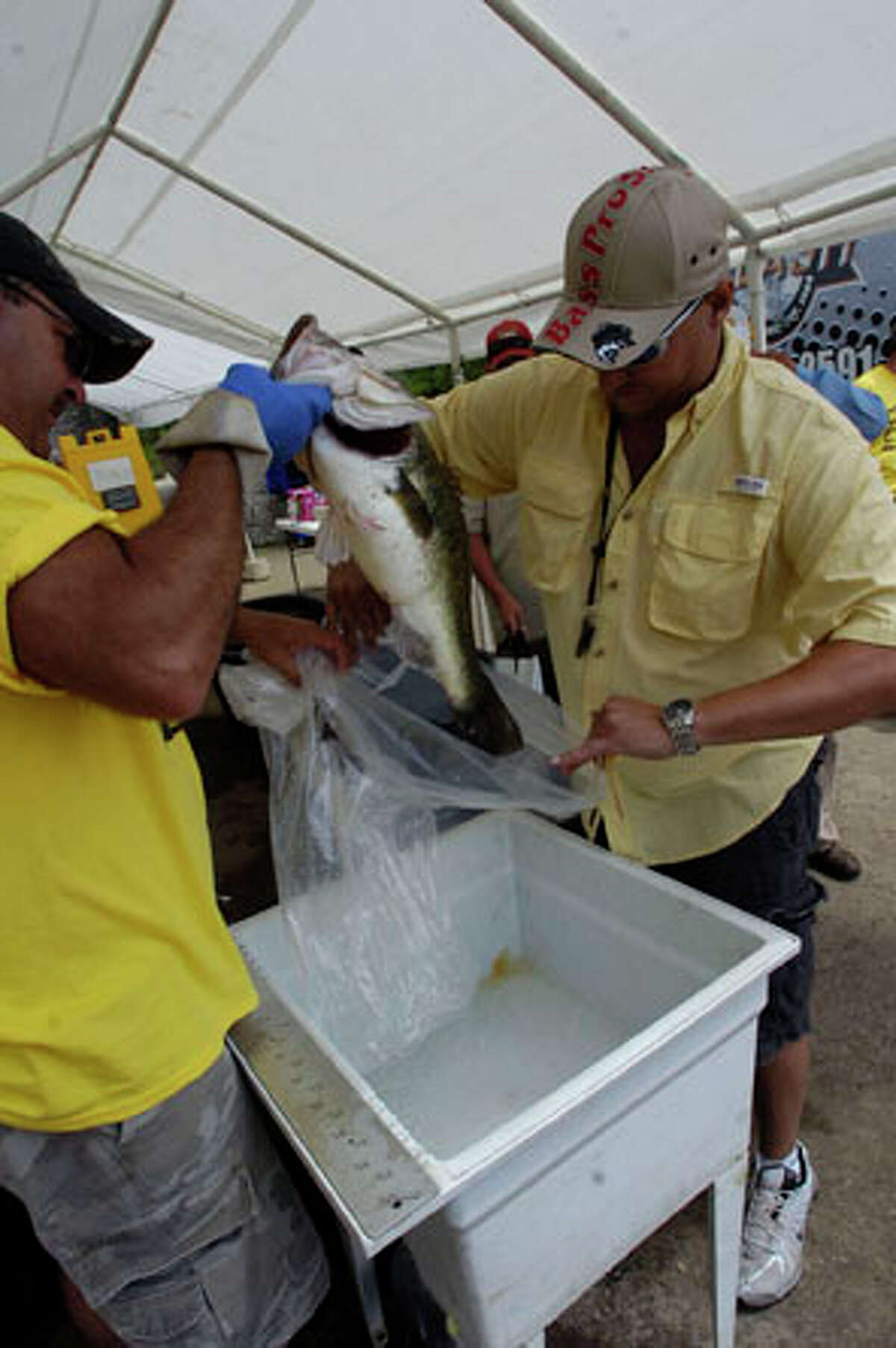 Big Bass Splash Day 1