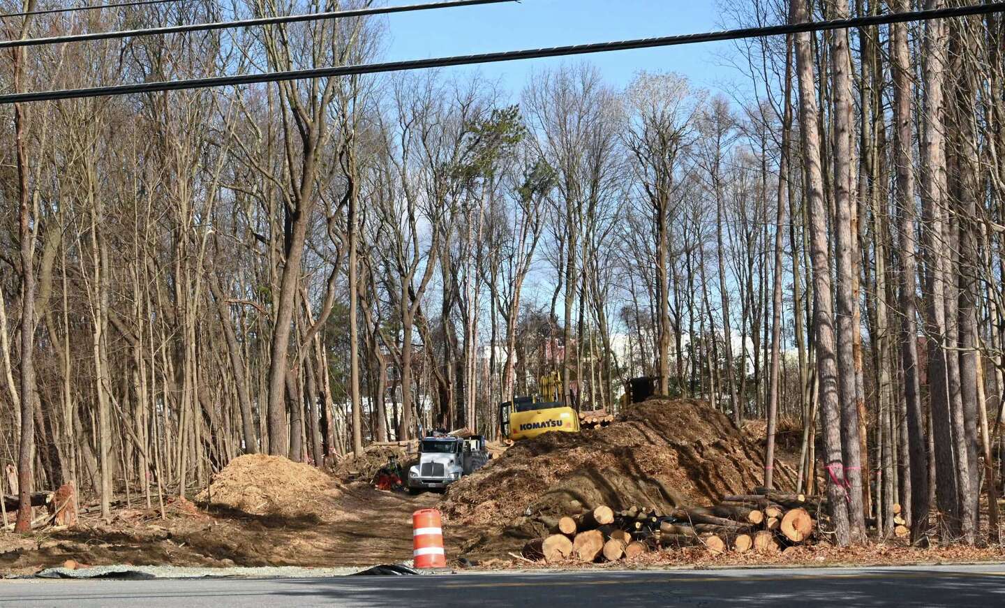 More Luther Forest trees in Malta lost to development