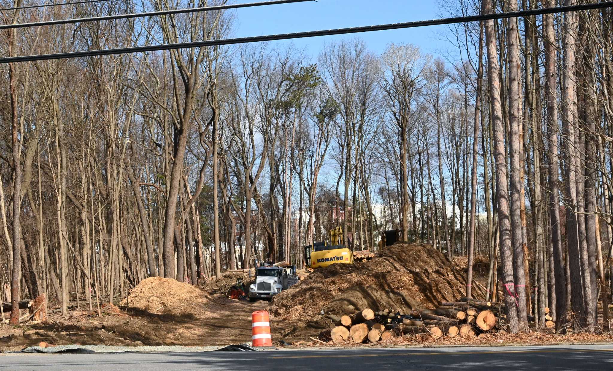 More Luther Forest trees in Malta lost to development