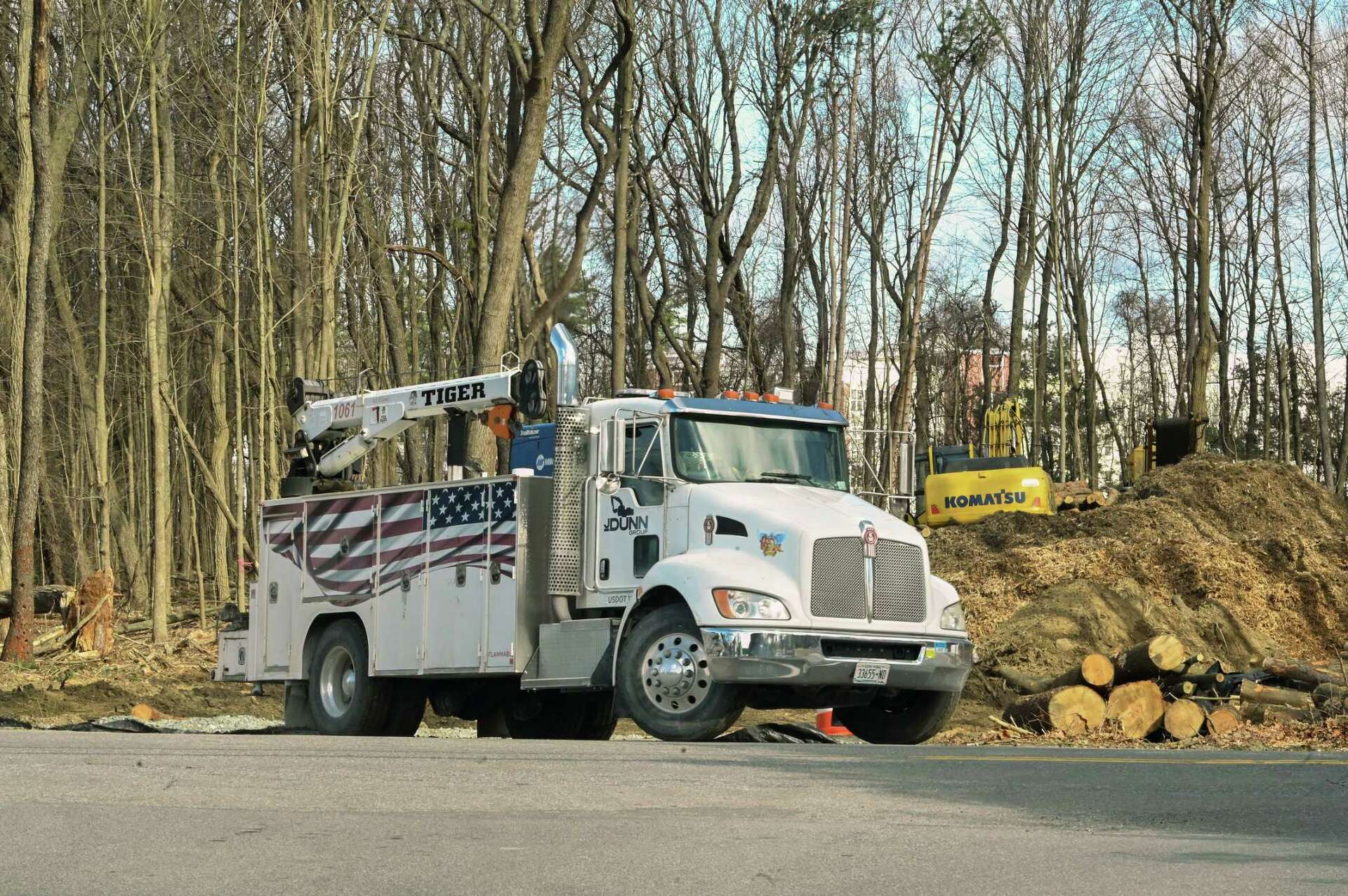 More Luther Forest trees in Malta lost to development