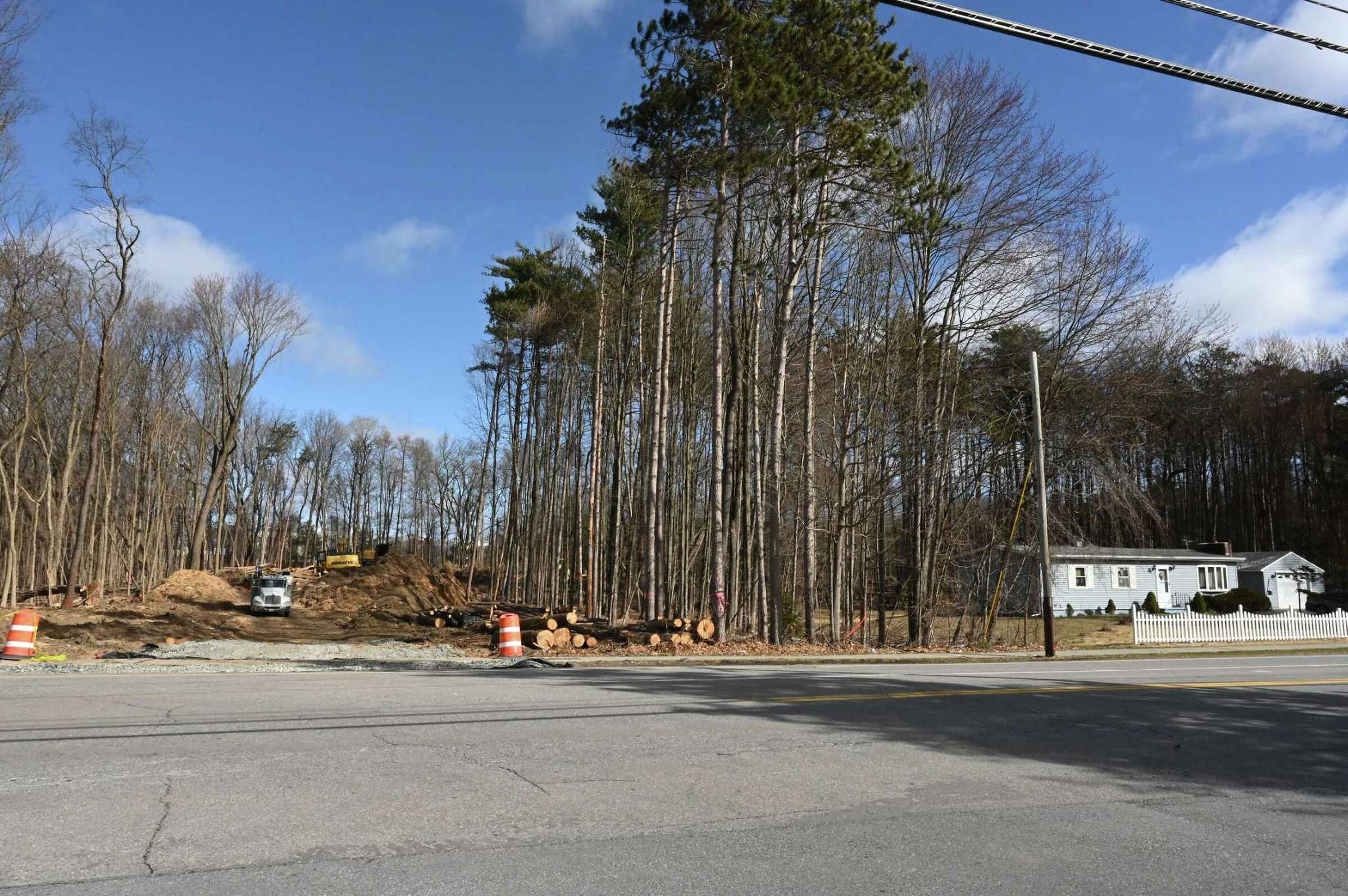 More Luther Forest trees in Malta lost to development