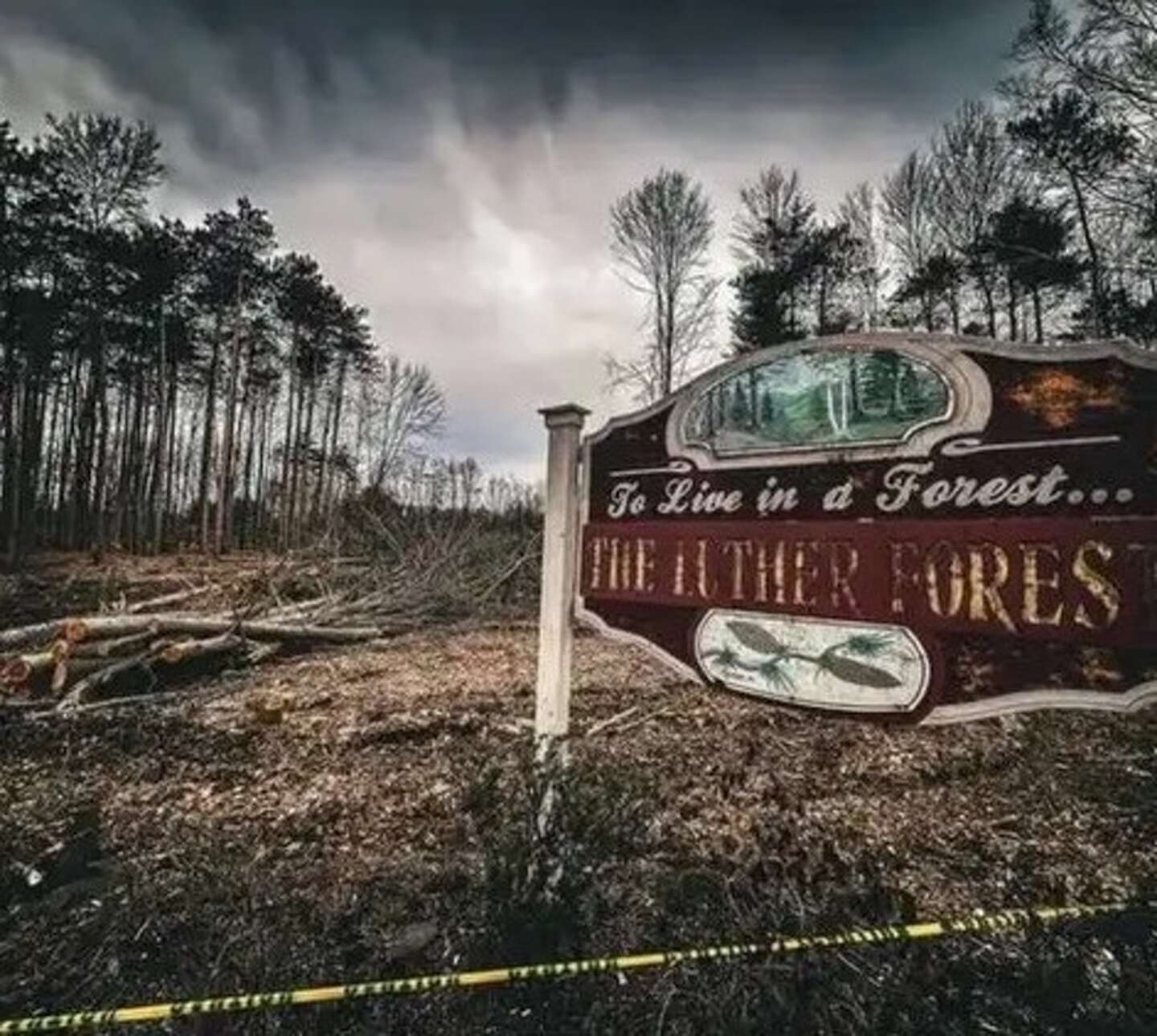 More Luther Forest trees in Malta lost to development