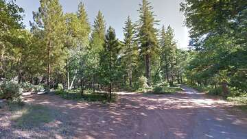 Mountain lion kills man in Northern Calif. for first time in 30 years