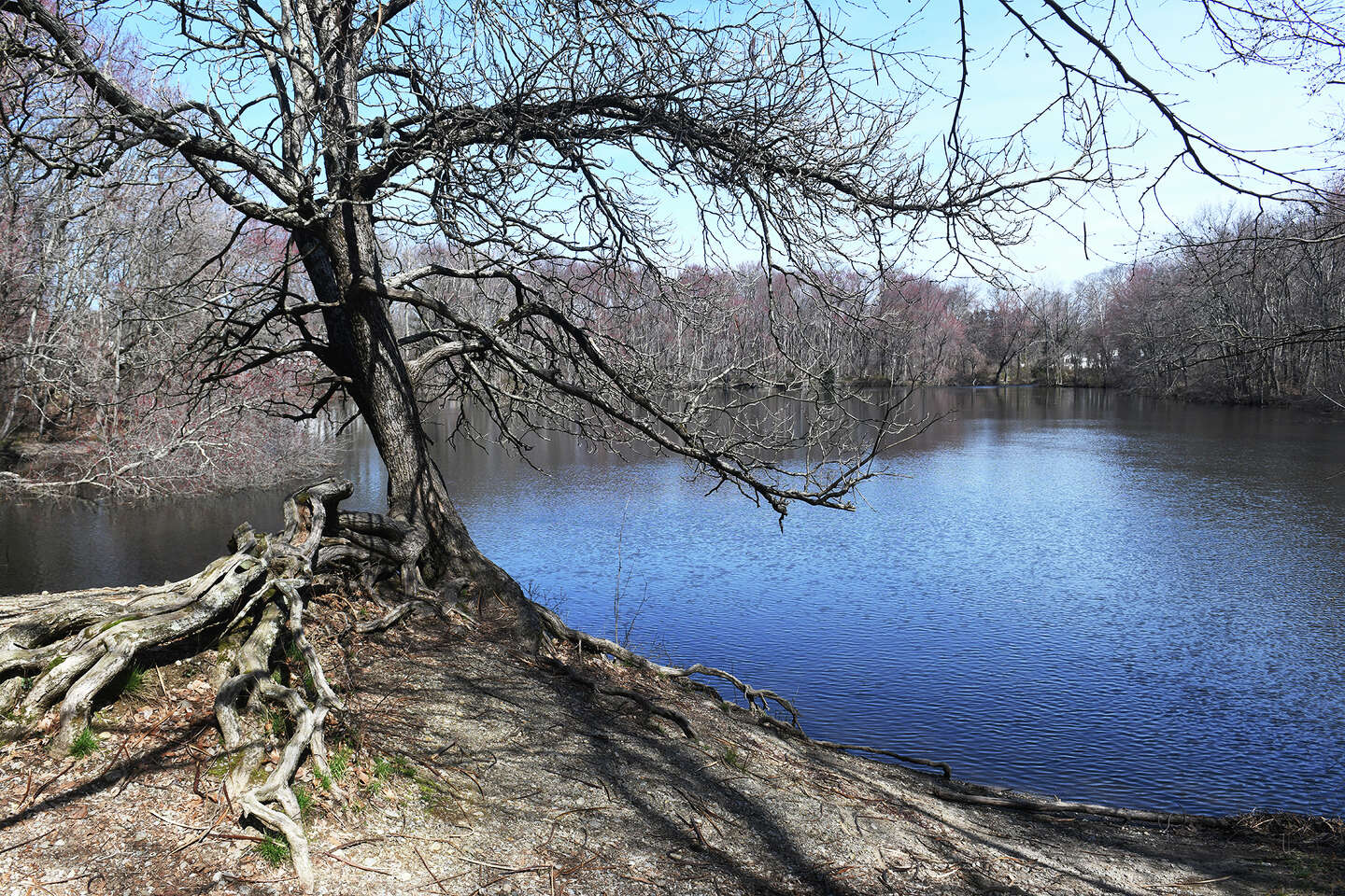 Fairfield wants to open environmental center near Perry's Mill Ponds