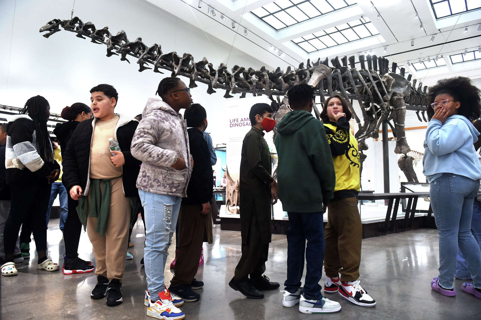Yale Peabody Museum Reopens After Four Years Of Renovations
