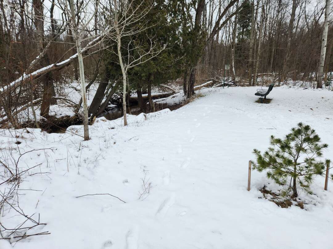 Onekama Twp. park undergoes major invasive species removal