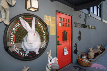 The Bunny Museum is one of the weirdest, wildest places in California