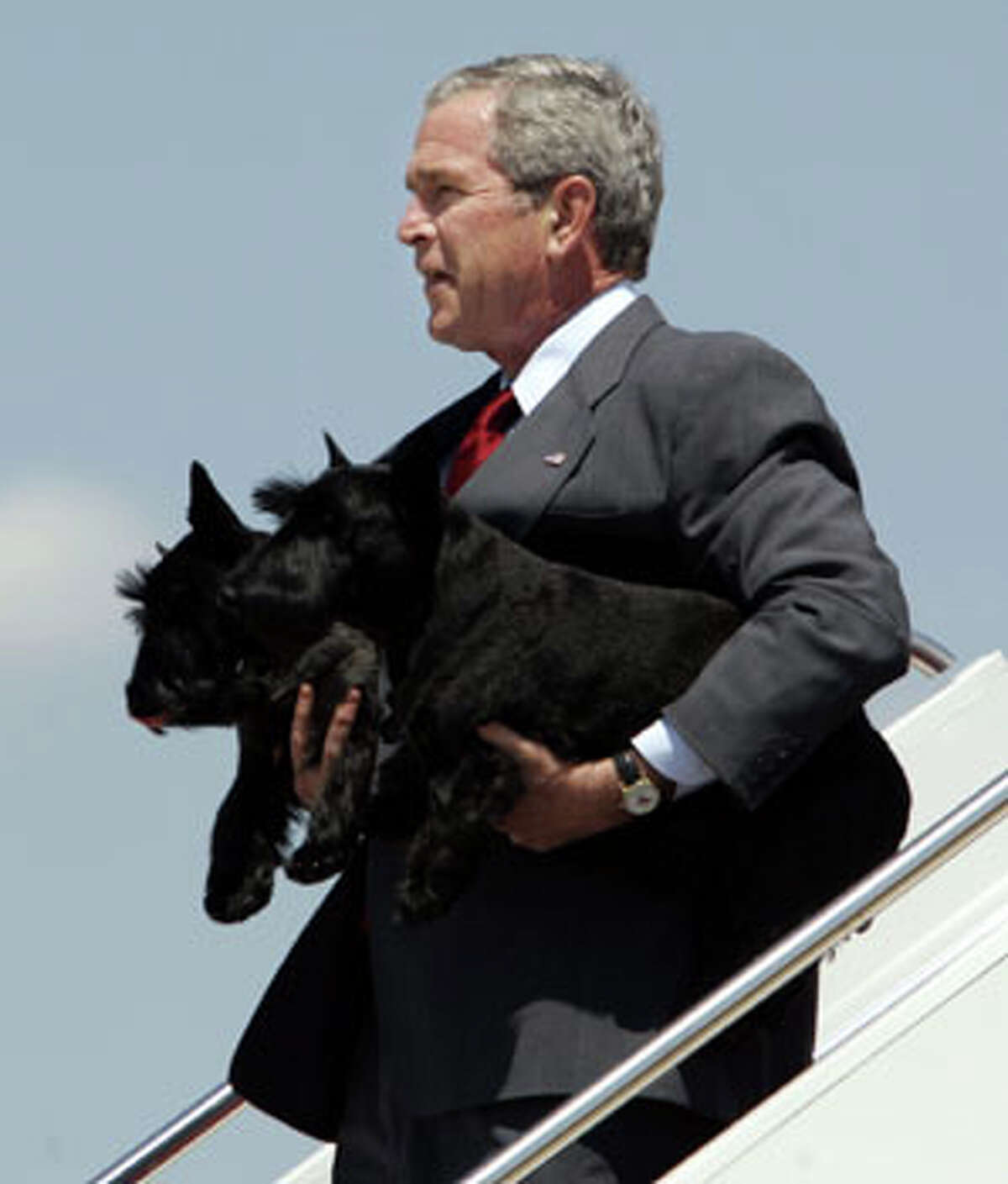First Pets, the furry friends of U.S. Presidents