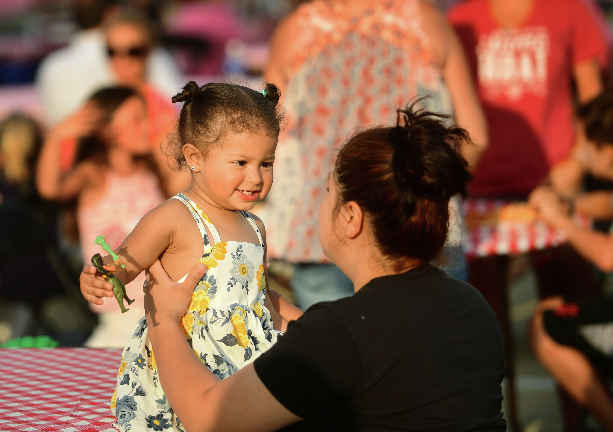 What to know before going to Greenwich's St. Roch's Feast