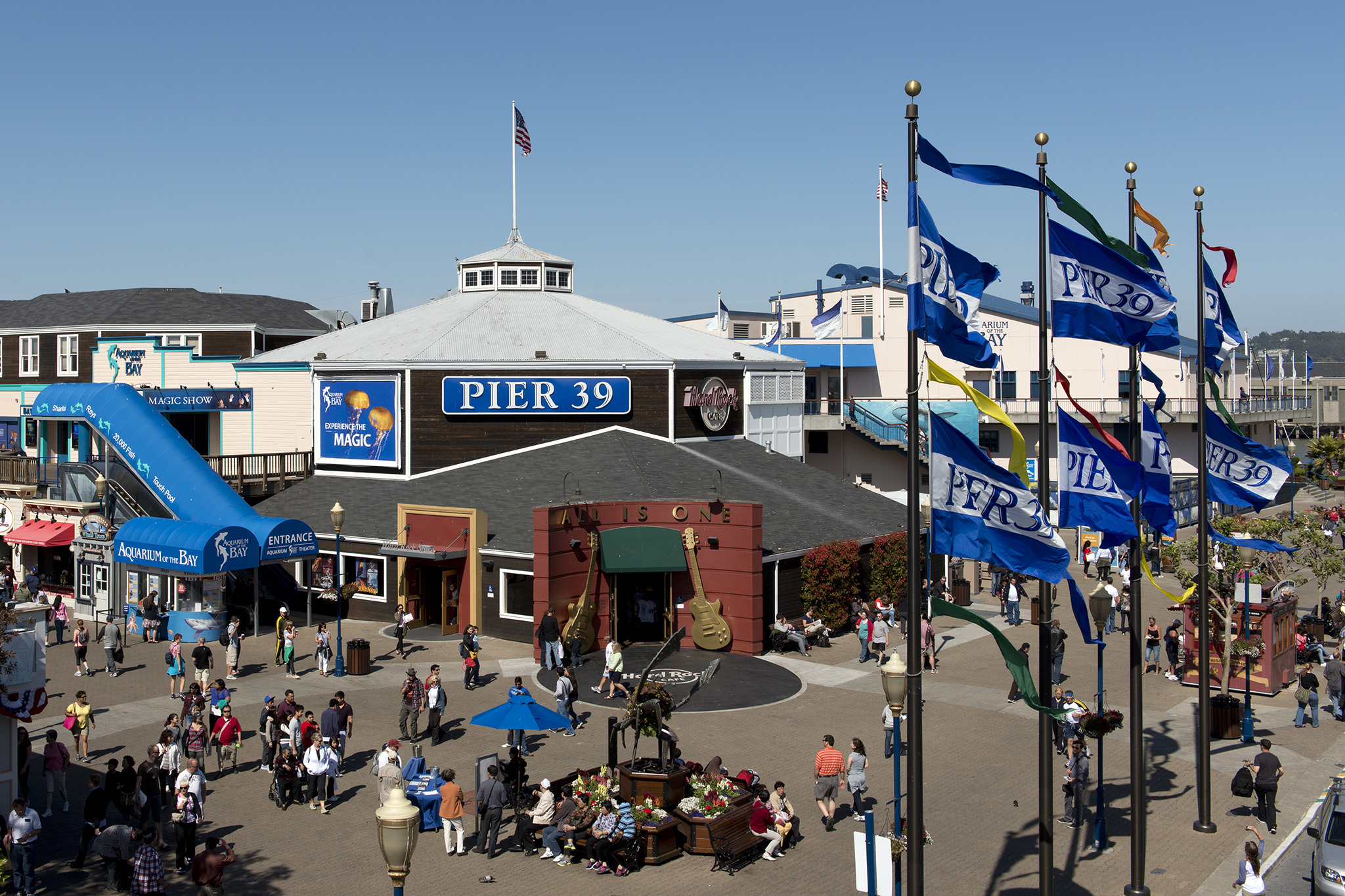 Major international movie star visits San Francisco, eats waffles at Pier 39