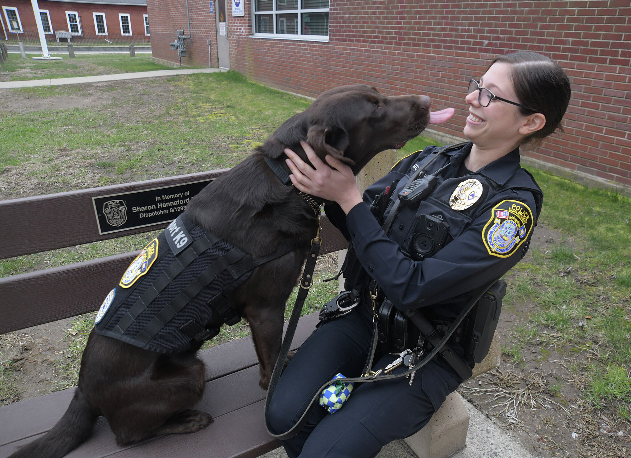 Lady, a 2-year-old Lab, is the newest member of East Windsor Police
