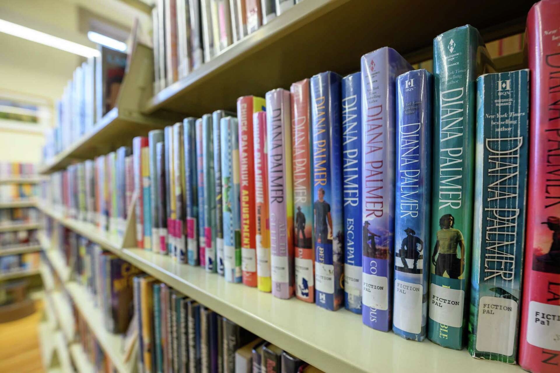 Troy Public Library reopens Lansignburgh branch