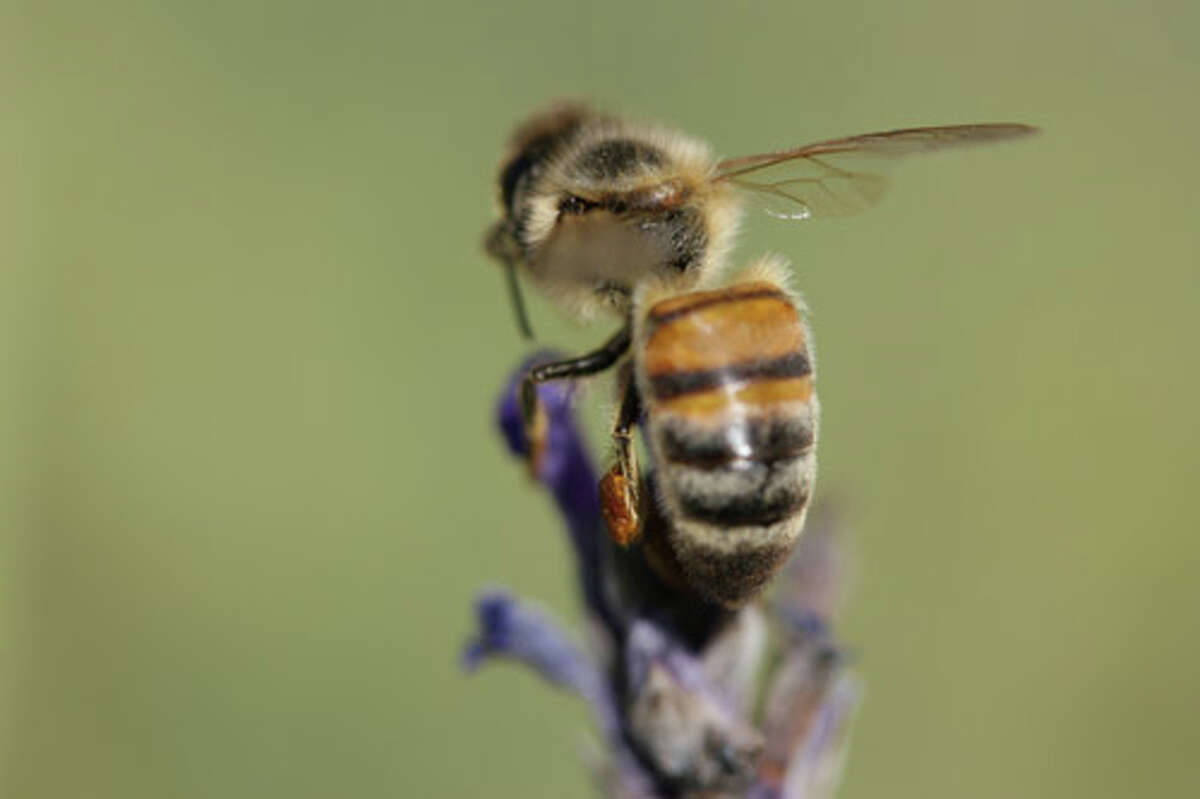 You name it, there's a phobia for it