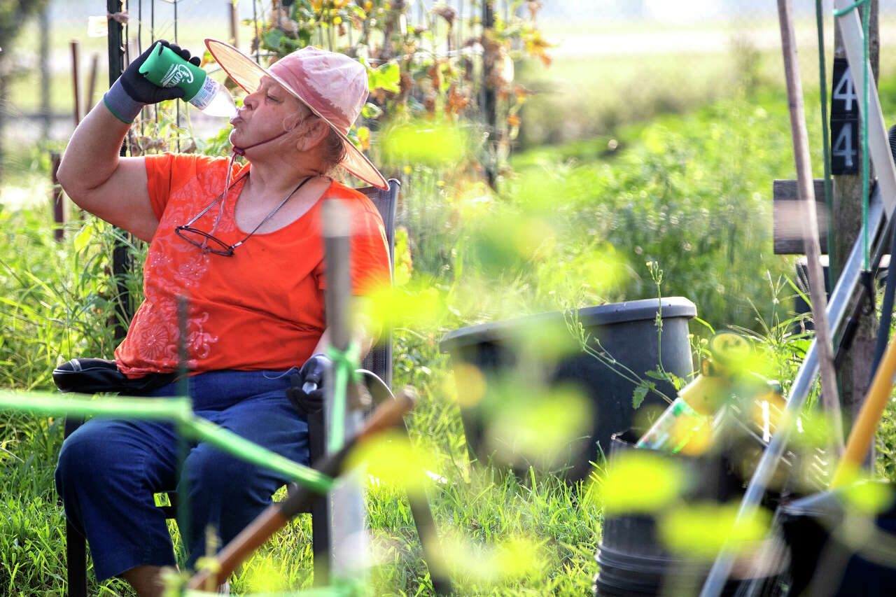 Marti Syring takes a moment to hydrate and sit down at the Montgomery County Senior’s Garden on June 16, last year in Conroe. Three days later, Houston recorded the first of 45 days at or above 100 degrees in 2023.