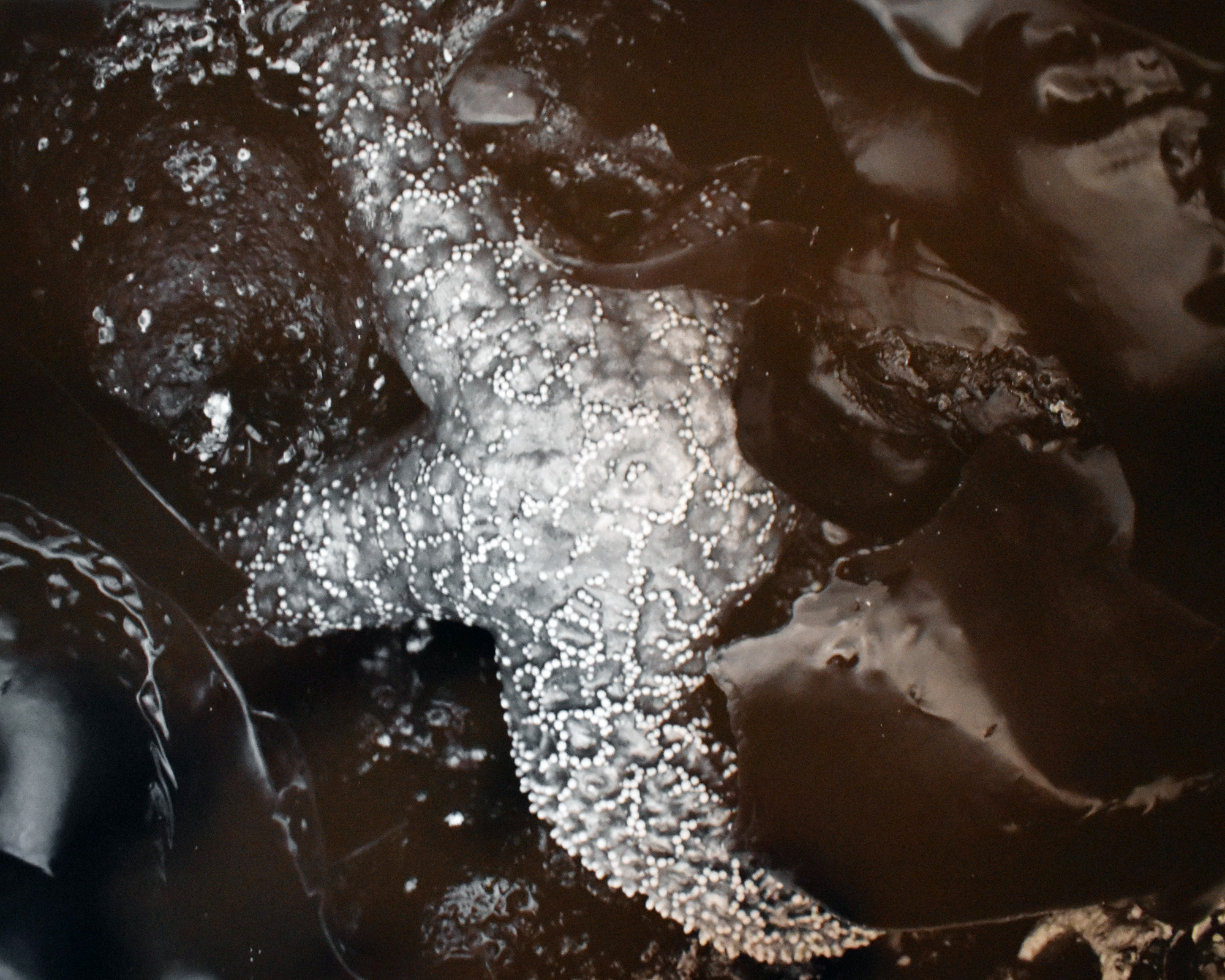 Strawn's April exhibit to focus on gallery director's art