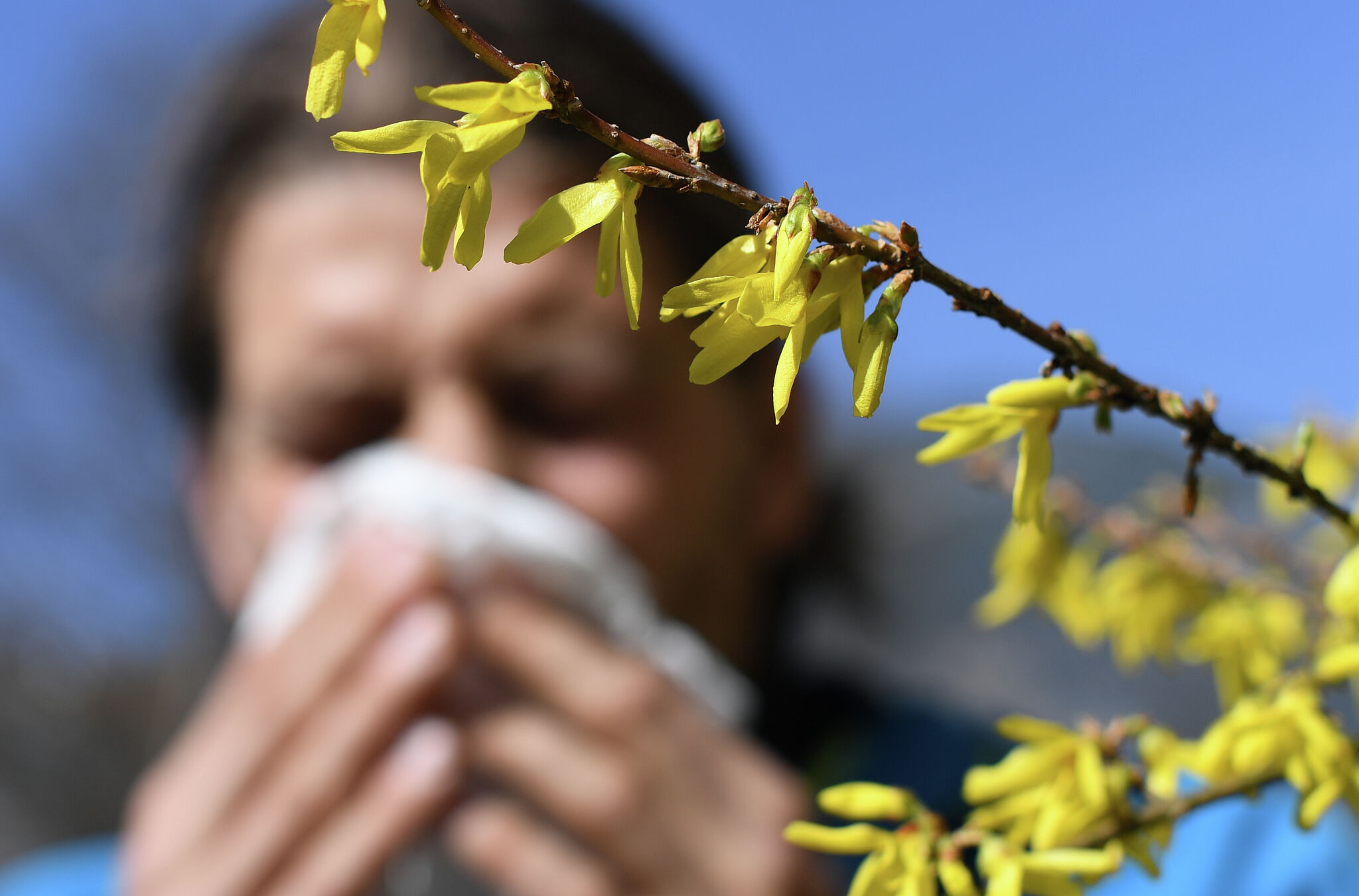 Allergy symptoms may worsen due to Bay Area's prolonged pollen season