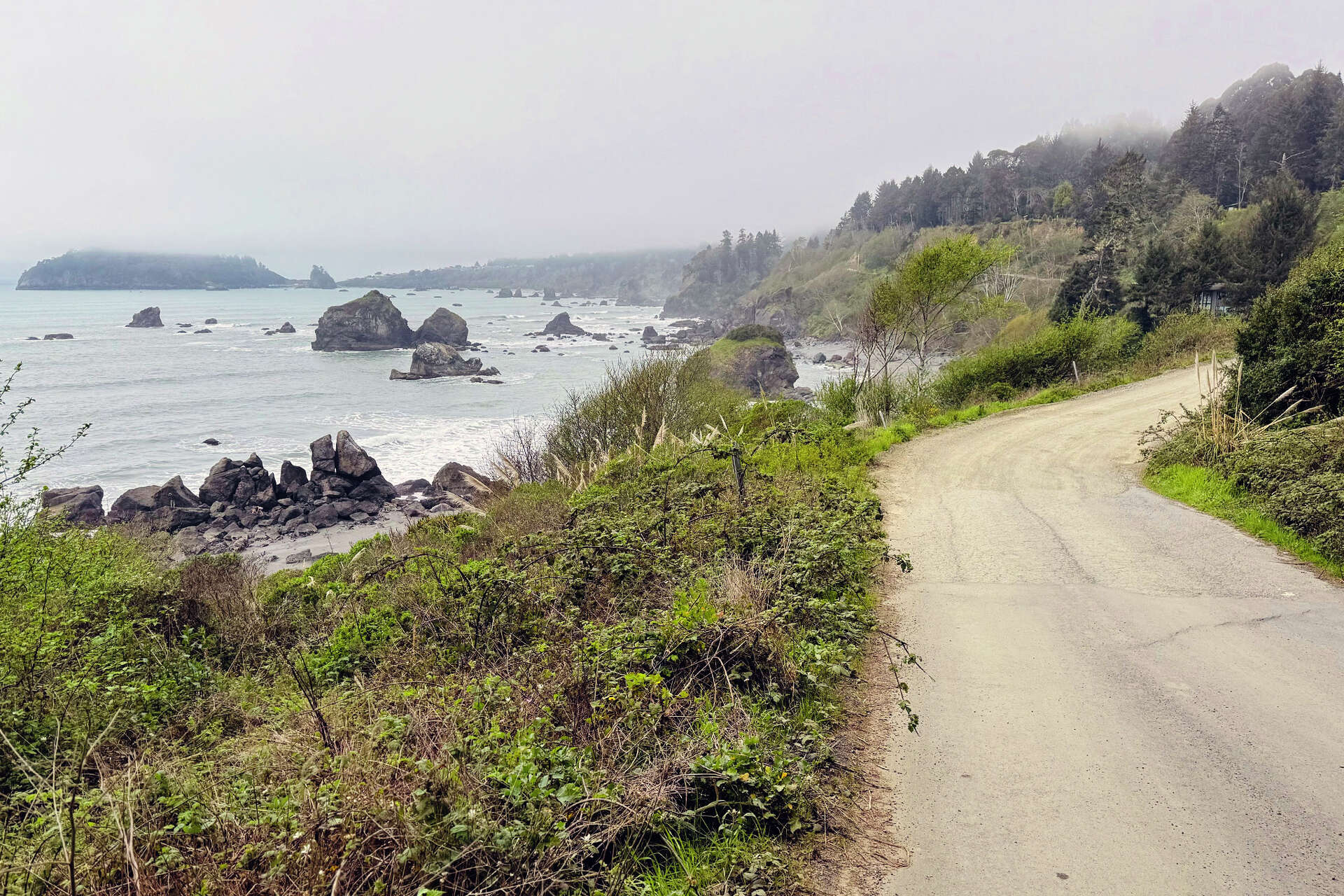 The prettiest road in Northern California