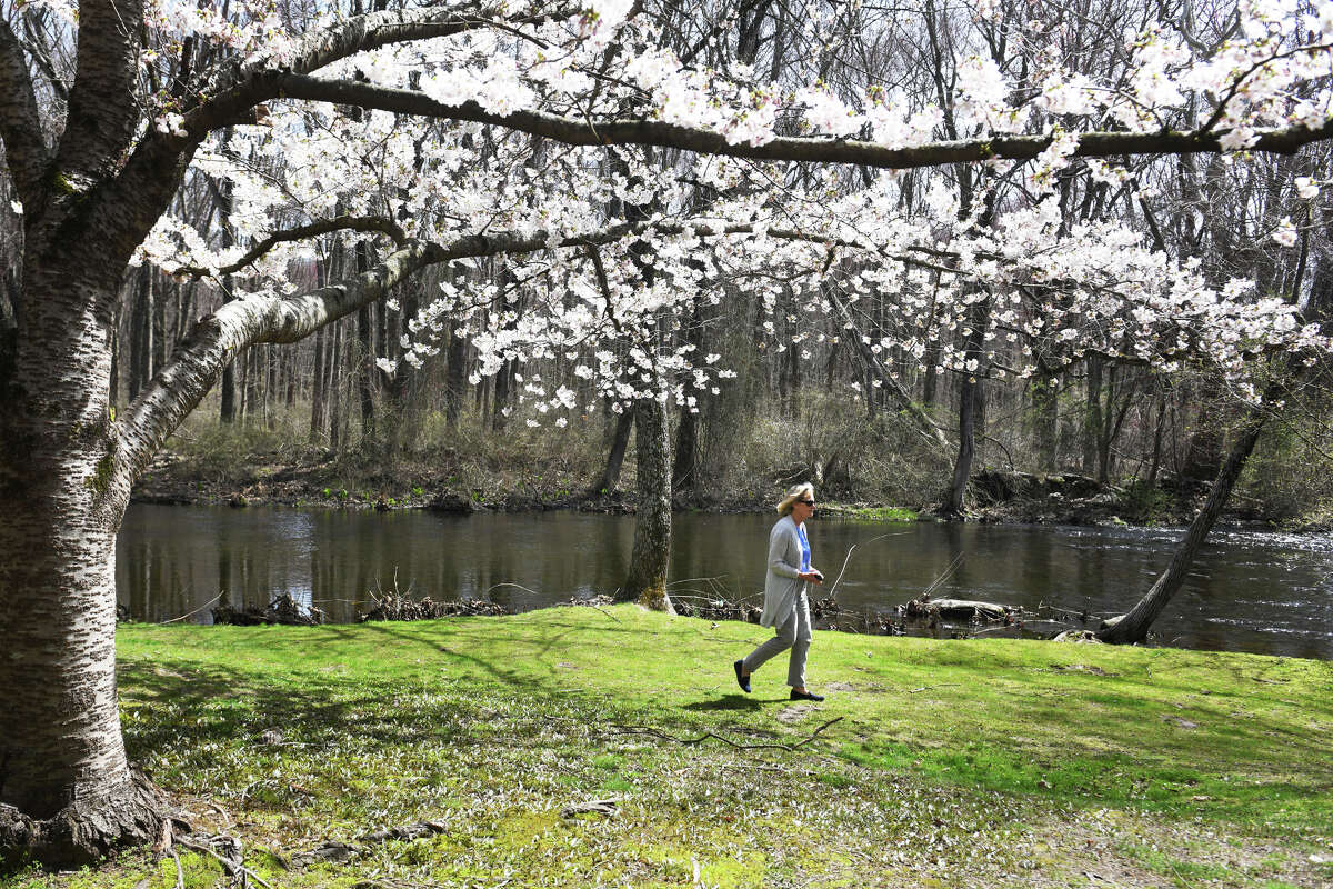 The Old Farmer's Almanac issues CT spring weather 2025 forecast