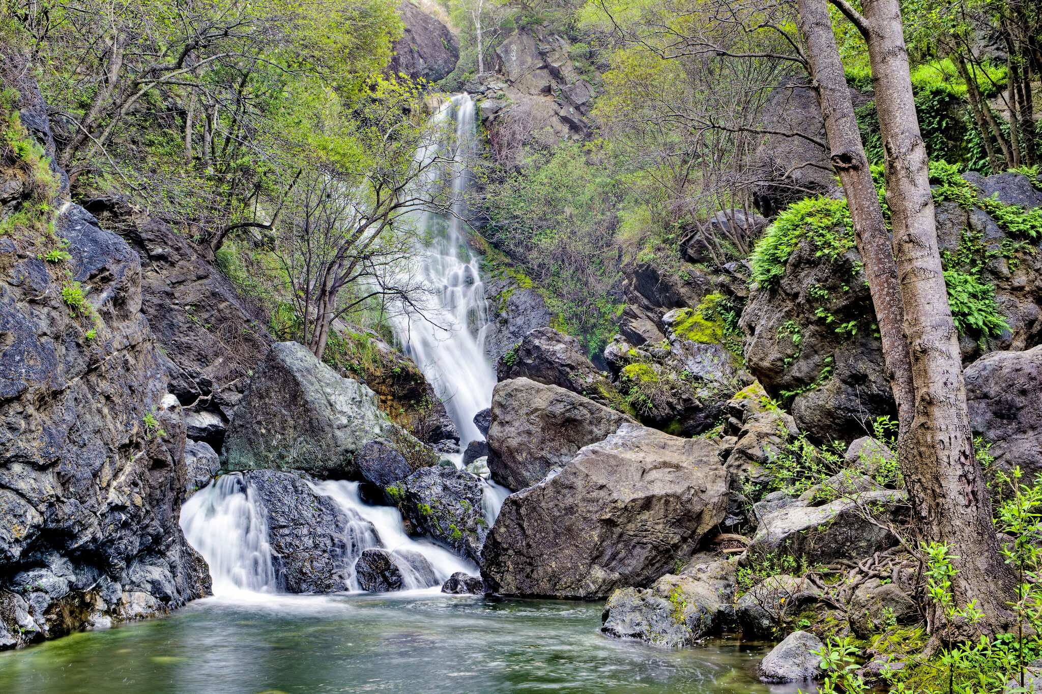 Cal Poly student dies while hiking at Big Sur waterfall