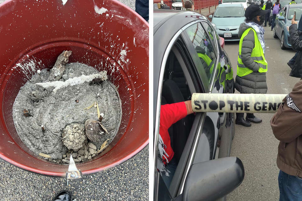 Why it took so long for Bay Area highways to be cleared of protesters