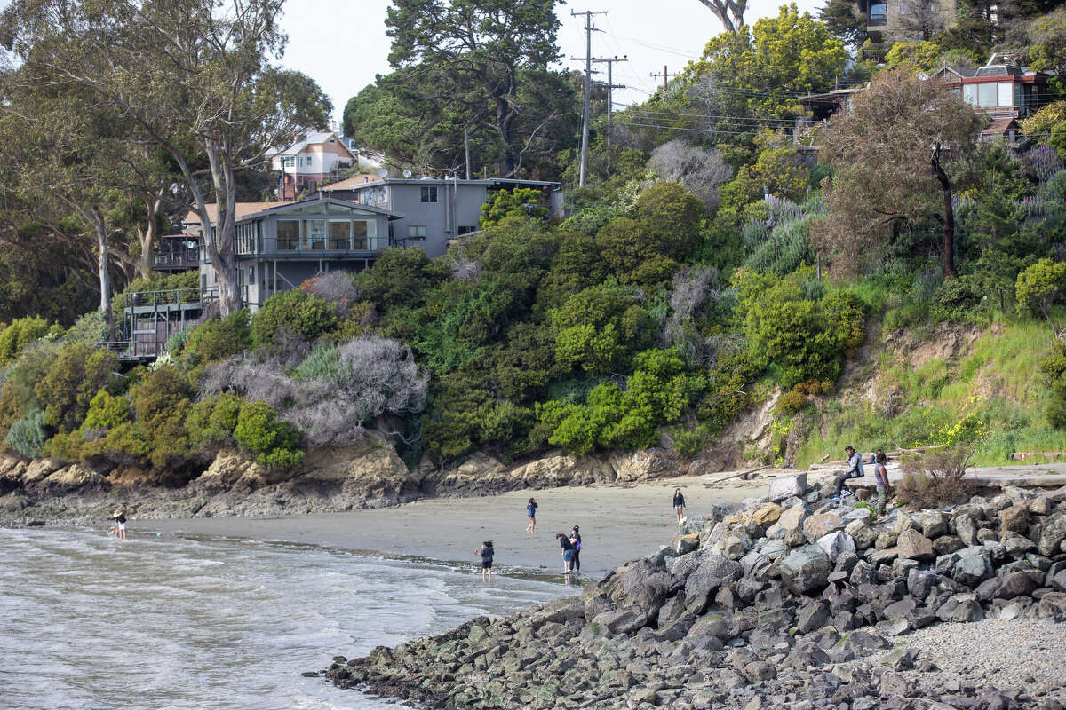 People play in the water just off Keller Beach in the Point Richmond neighborhood of Richmond, Calif. on April 3, 2024.