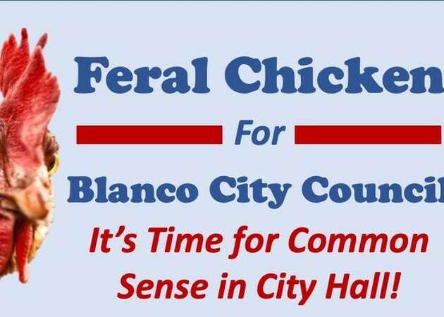 The man behind Blanco's Feral Chicken Facebook group now serves as the city's mayor.