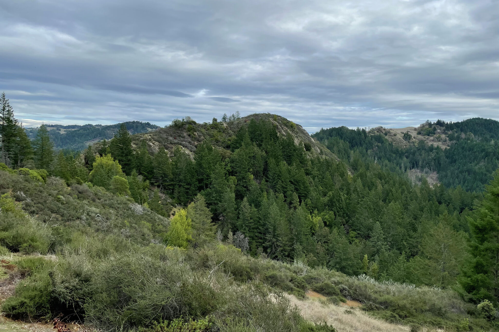 ‘No other place like it’: California redwood preserve adds land