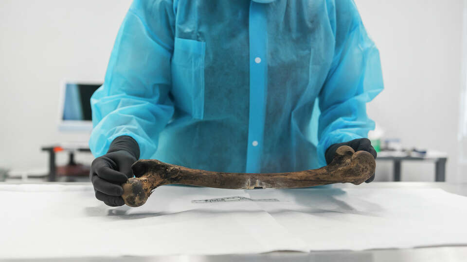 Othram Inc, a Texas-based forensic genetic genealogy DNA lab is working on identifying a Bridgeport murder victim found charred in 1993. 