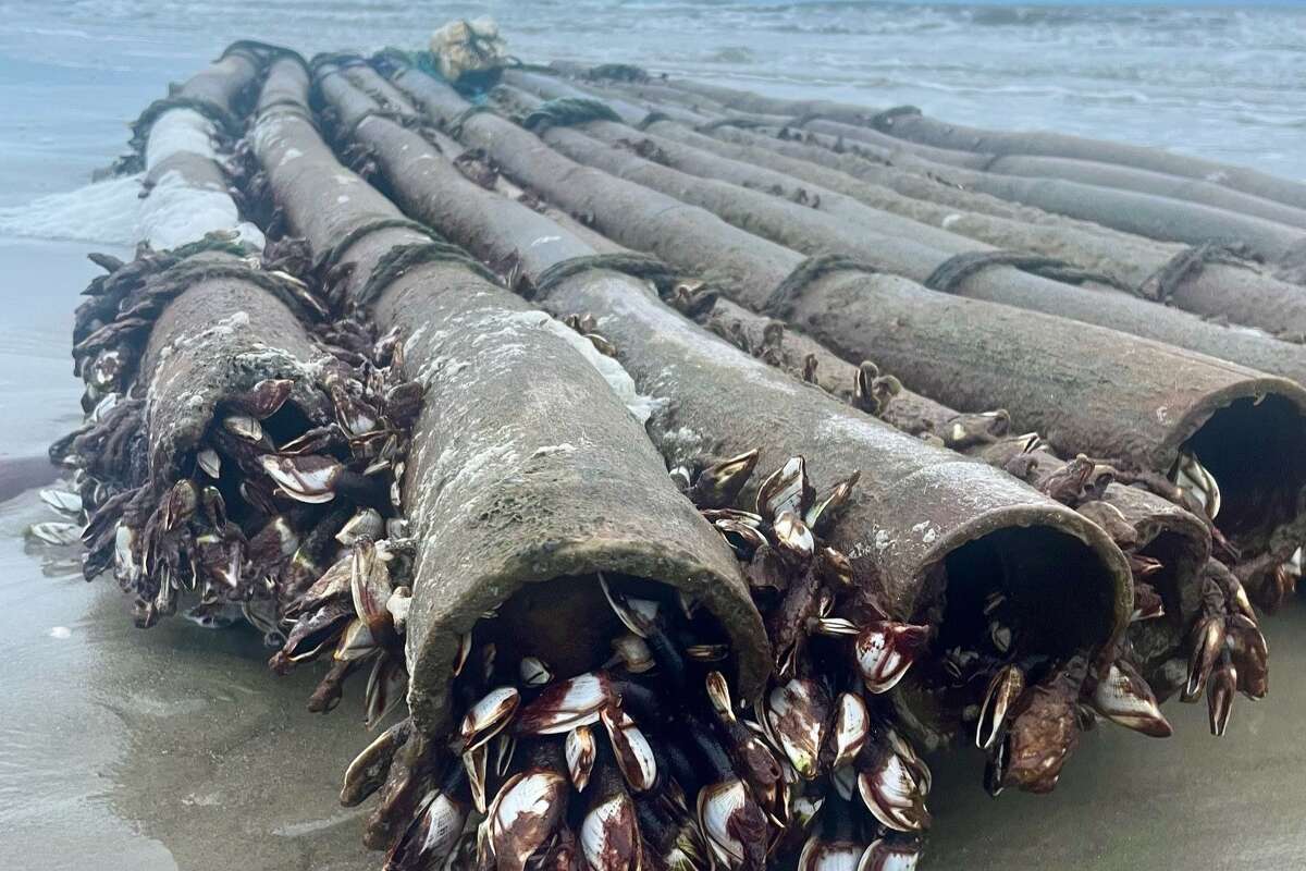 Laura Hanna found a mysterious bamboo raft near the Galveston Fishing Pier on Sunday. 