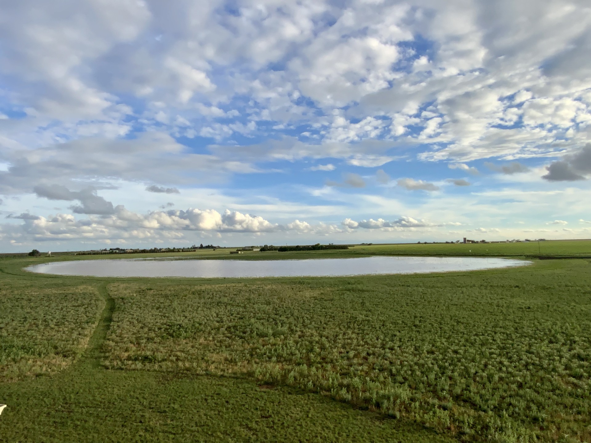 Tomorrow's Water project aims to restore playas to recharge Ogallala Aquifer