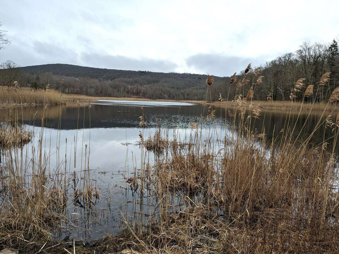 Sharon, Connecticut travel guide what to see, do and eat