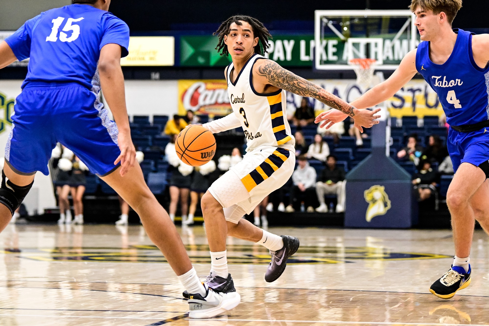 Lamar cardinals basketball roster online