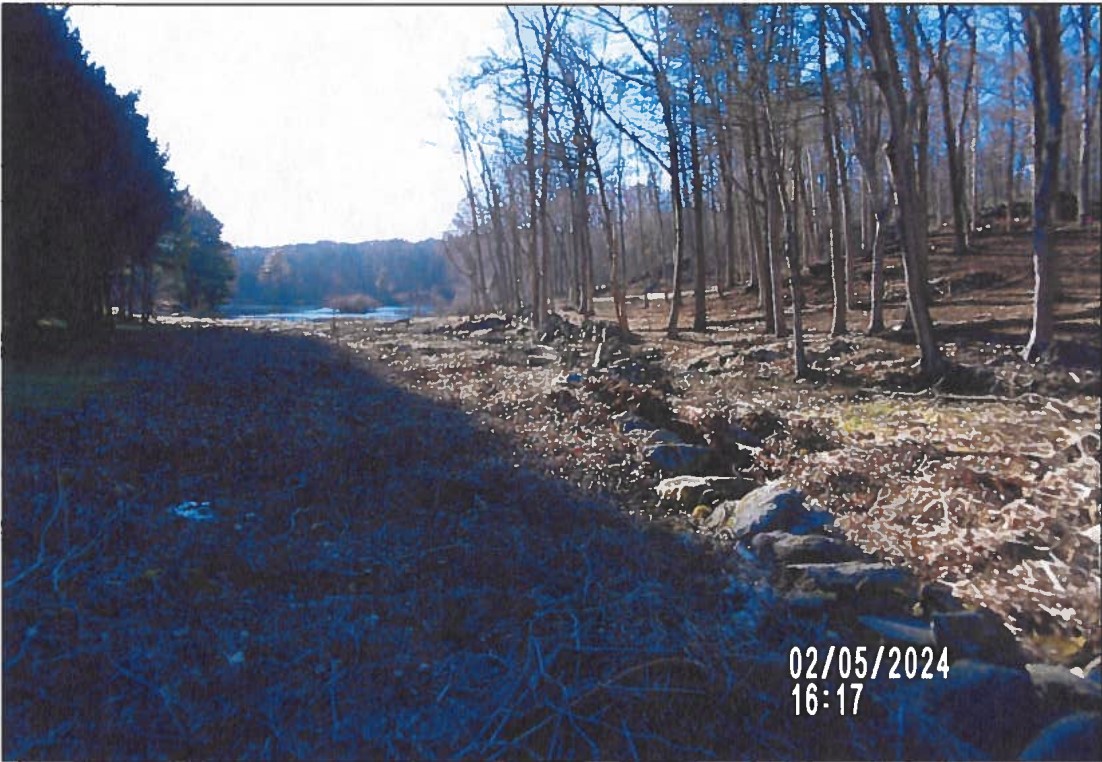 Ned Lamont faces possible fines for illegal tree cutting in Greenwich
