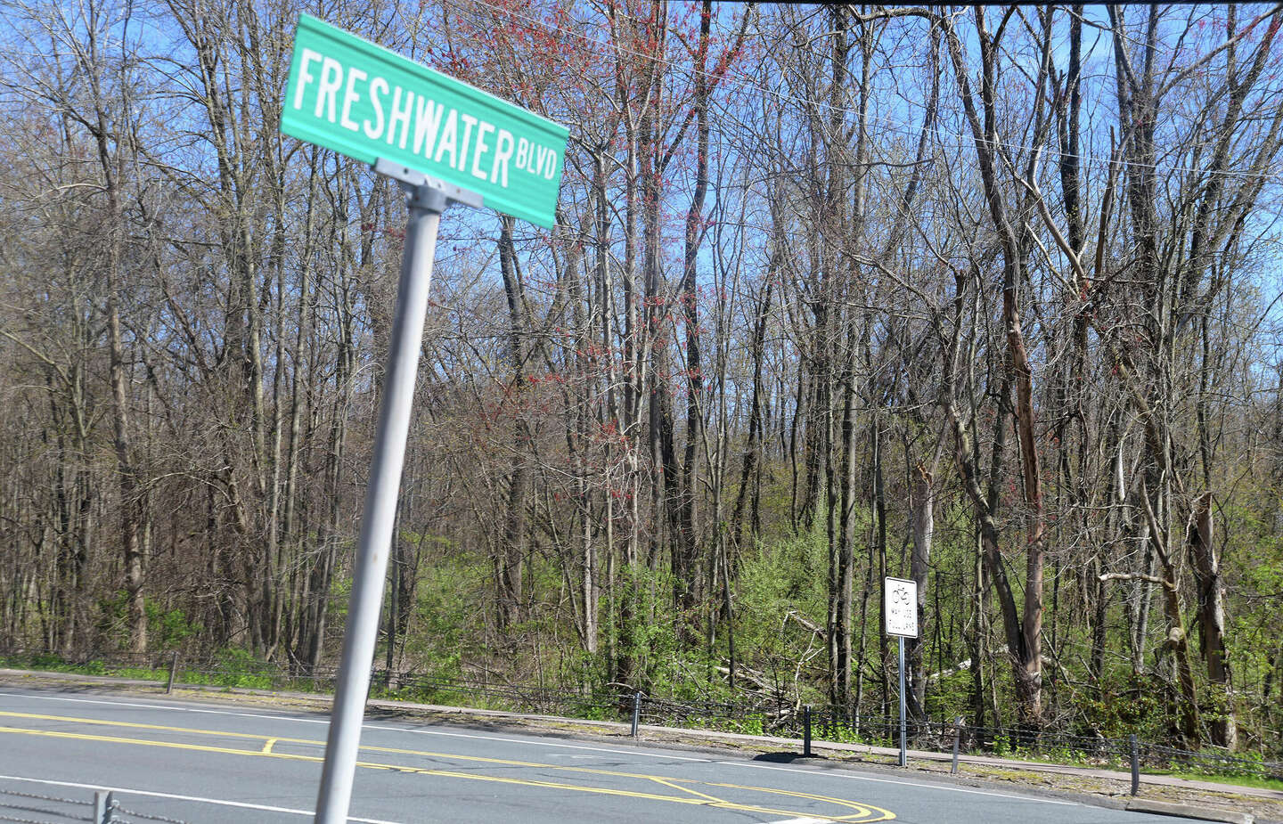 Enfield apartment complex proposed for South Road raises concerns