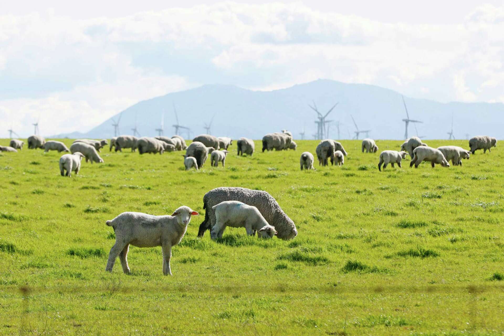 CA Forever takes next step in quest to build new city in Solano County