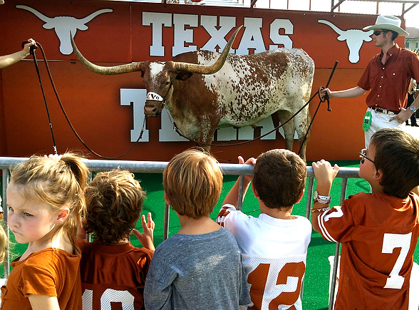 No Bevo: Texas mascot will miss Thanksgiving week game due to