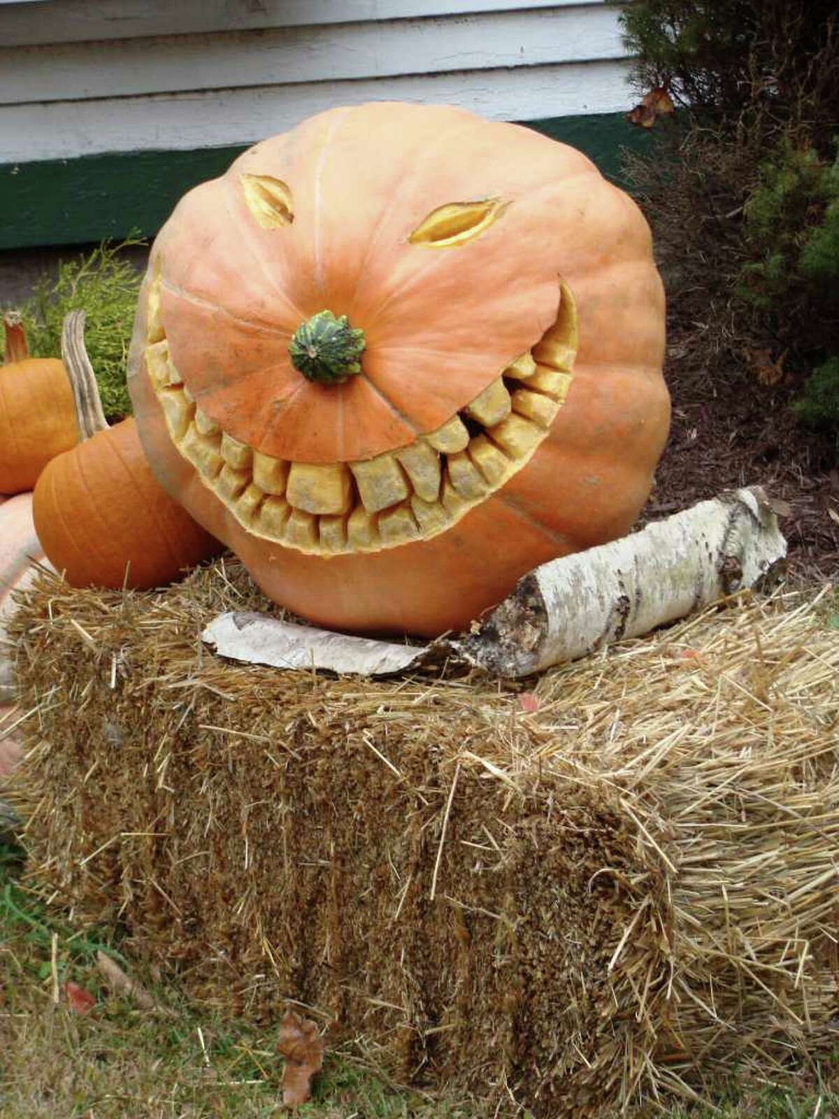 Fairfielder sculpts Halloween fantasies from pumpkin patch