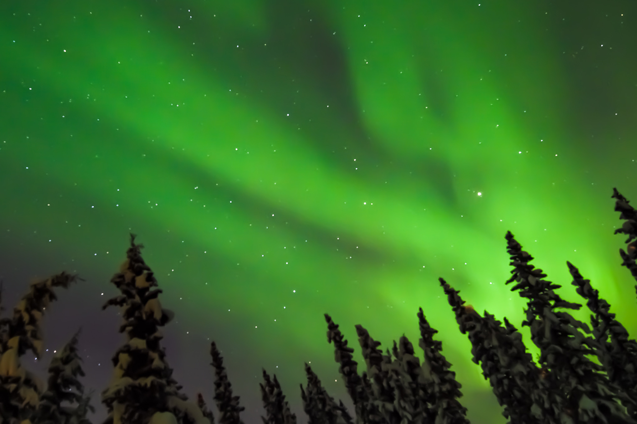 Solar Storms to Bring Northern Lights as Far South as Alabama and Northern California: What to Expect