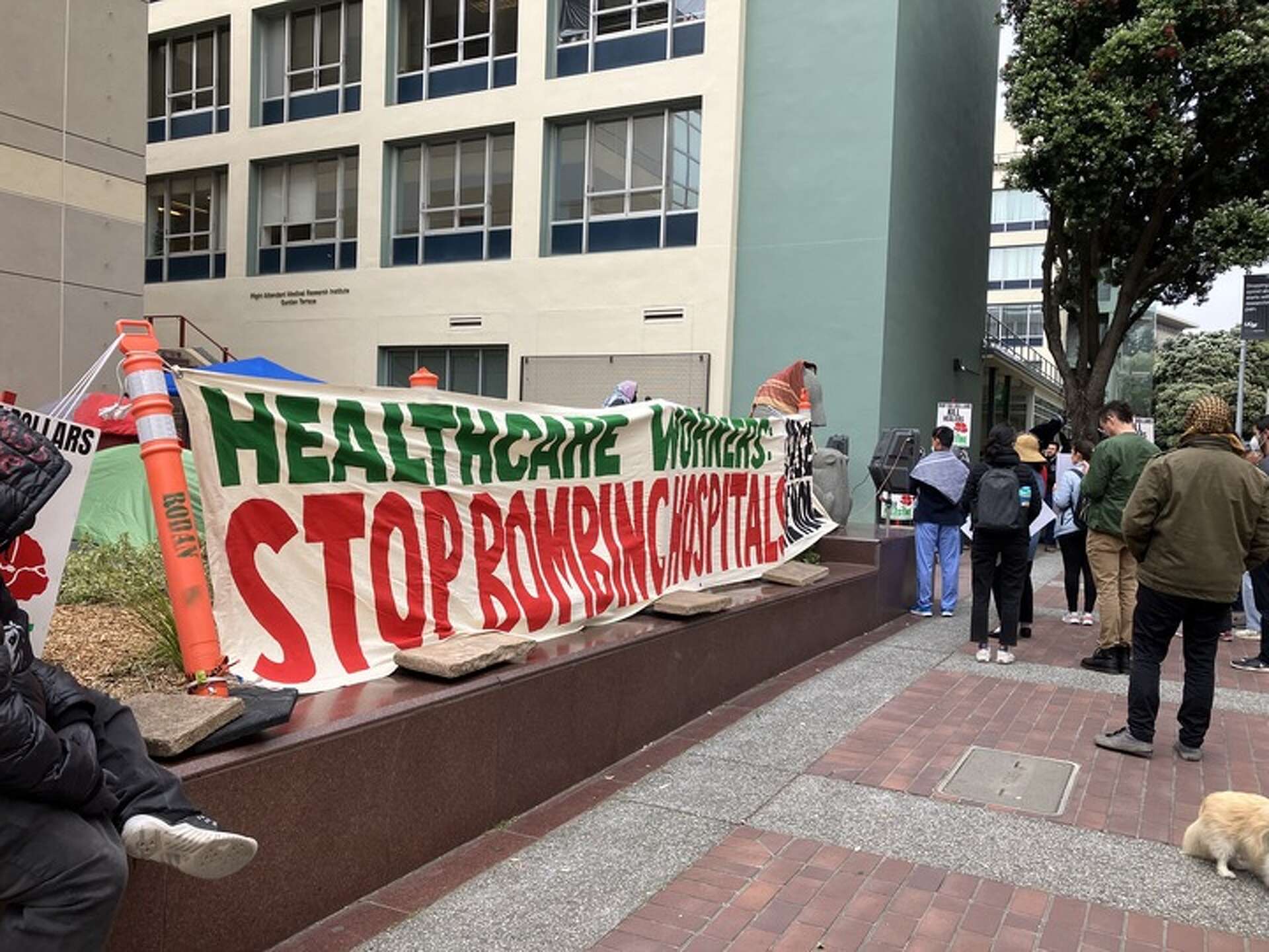 Police remove UCSF pro-Palestinian encampment