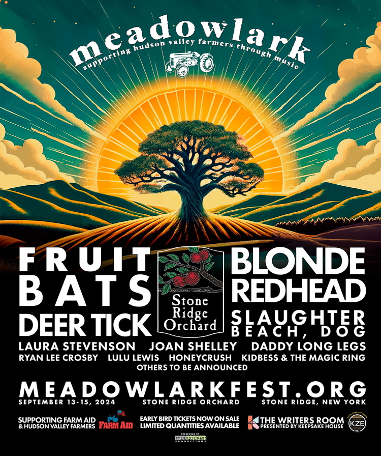 Meadowlark Festival lineup includes Blonde Redhead, Fruit Bats, more