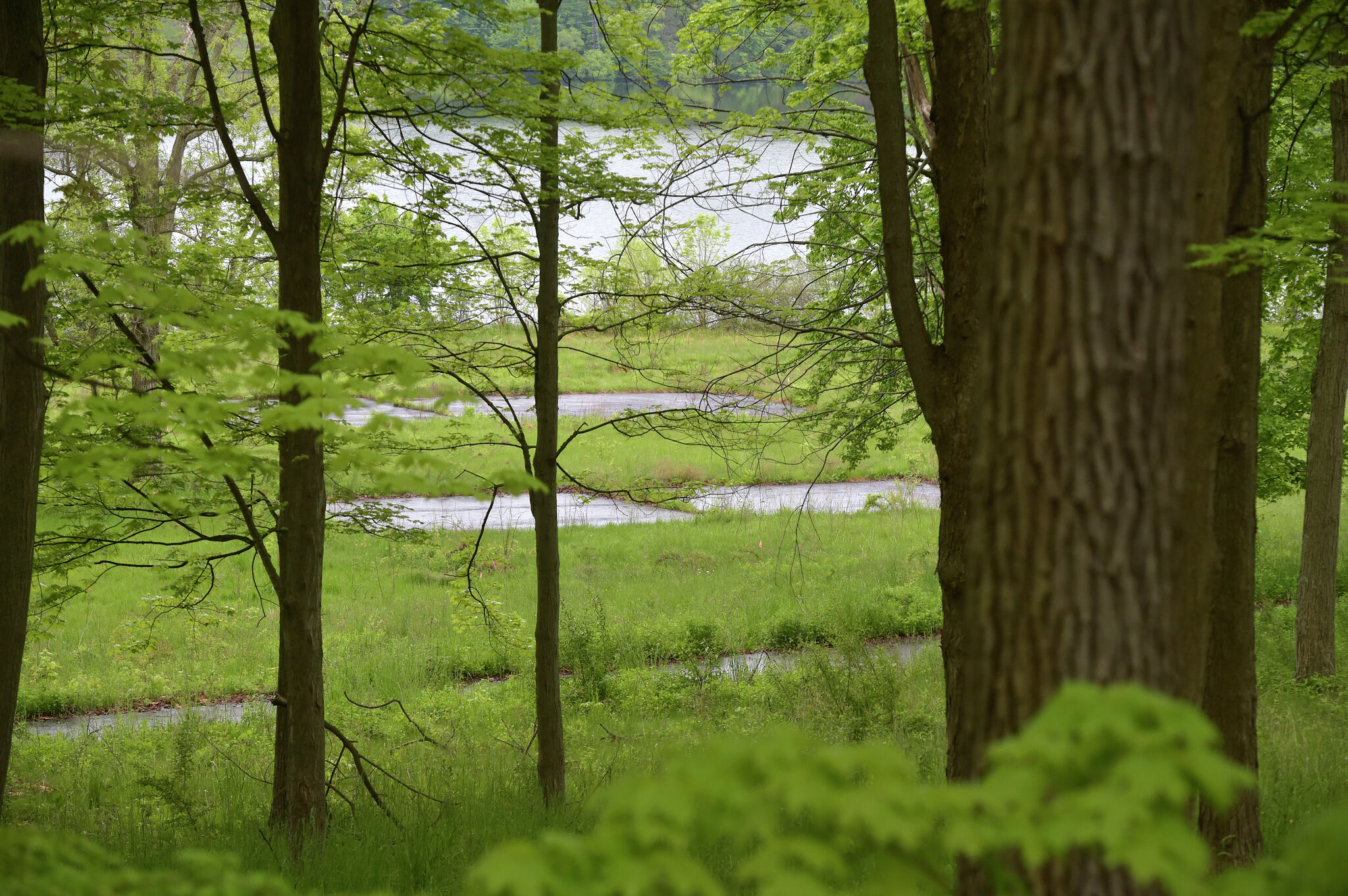 Fees supporting ct state parks to rise by 60 percent for residents