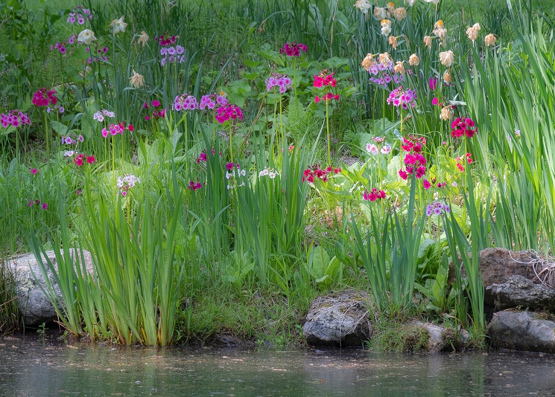 Books 'n Blooms garden event benefits Cornwall Library - Vimarsana News