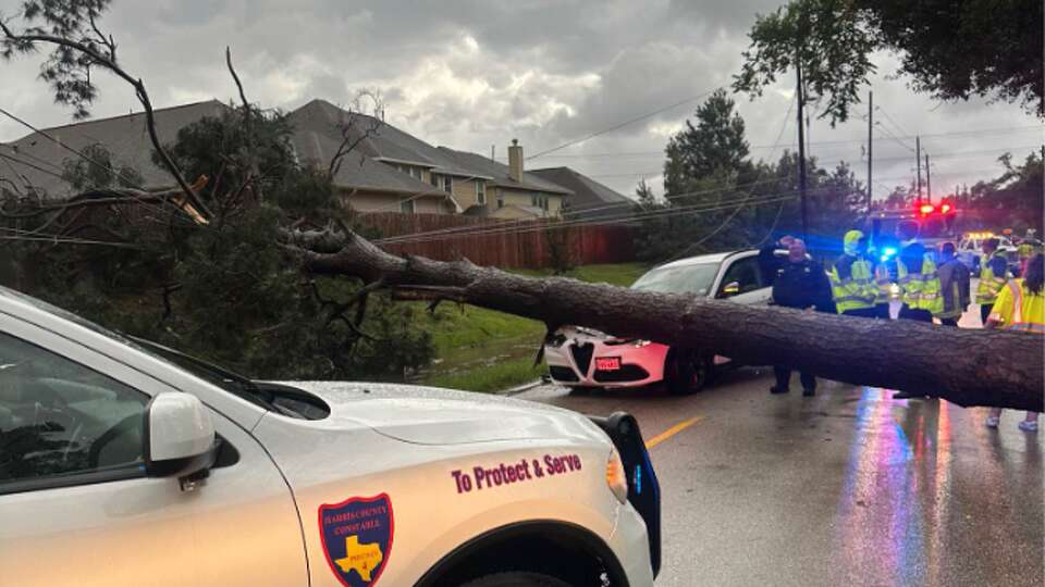 Harris County Constable Deputies at a scene where a tree fell on a vehicle in the 9600 block of Dowdell Road.