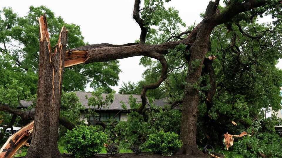 A large tree is seen after it split and fell onto a car and part of a home after heavy winds and rains ripped through the region, Thursday, May 15, 2024, in Houston.